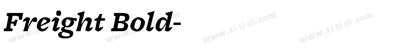 Freight Bold字体转换